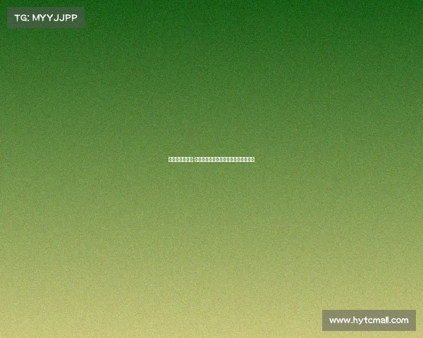 足球解说新视角 探索语言与激情如何点燃赛场的每一刻